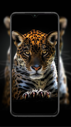 Cheetah Leopard Wallpaper_2