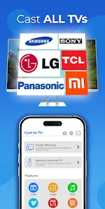 Cast to TV+ ChromeCast Roku TV_1
