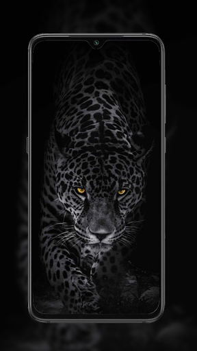Cheetah Leopard Wallpaper_1