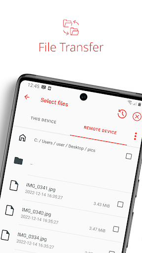 AnyDesk Remote Desktop_2