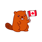 Buy Beaver