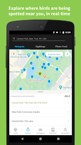 Audubon Bird Guide_3